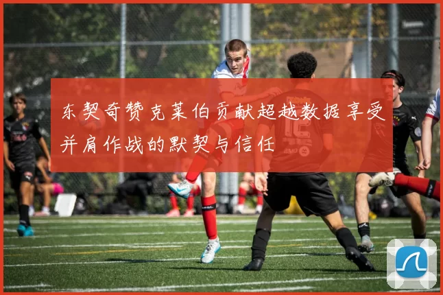 东契奇赞克莱伯贡献超越数据享受并肩作战的默契与信任