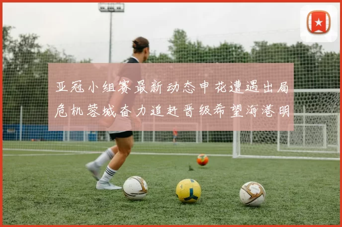 亚冠小组赛最新动态申花遭遇出局危机蓉城奋力追赶晋级希望海港明日迎战挑战